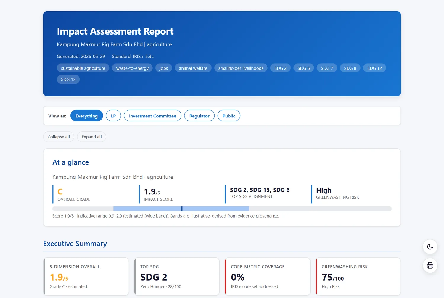 Generated interactive impact report